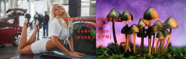 гашик Кукмор