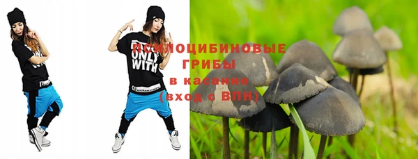 хмурый Куйбышев