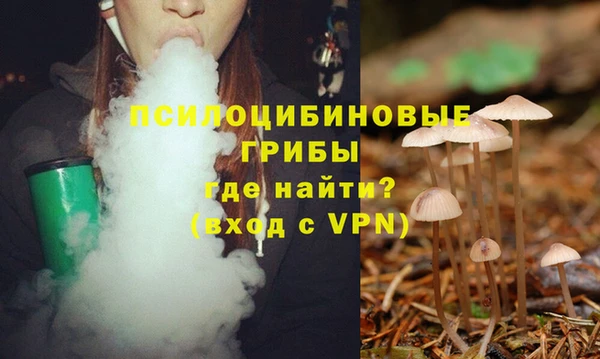 сатива Фёдоровский