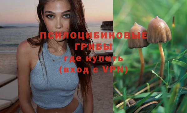гашик Кукмор