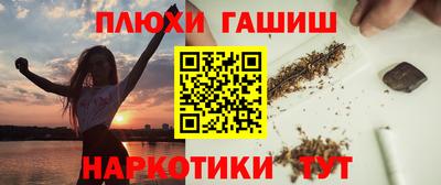 дживик Гай