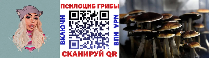 как найти Саранск Галлюциногенные грибы MAGIC MUSHROOMS