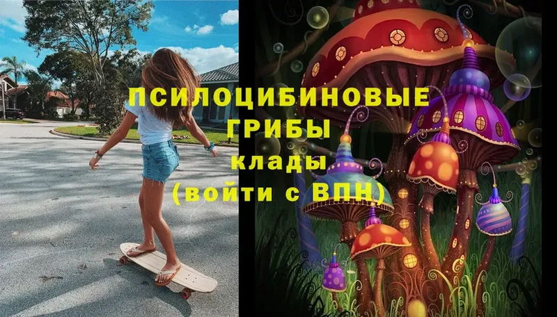 Псилоцибиновые грибы Psilocybe  купить   Саранск 