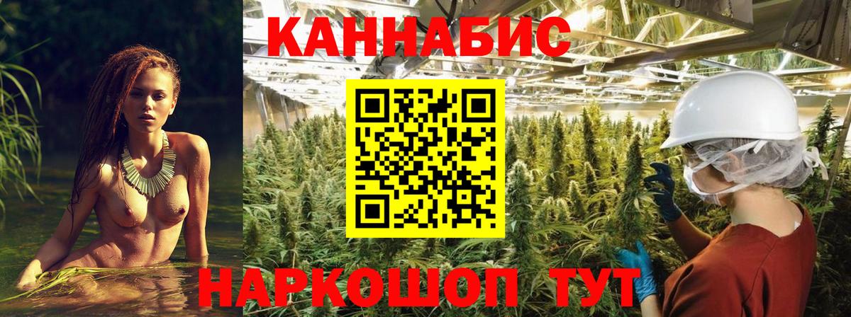 Марихуана AK-47  Бошки Шишки Bruce Banner  Саранск  Вход с VPN 